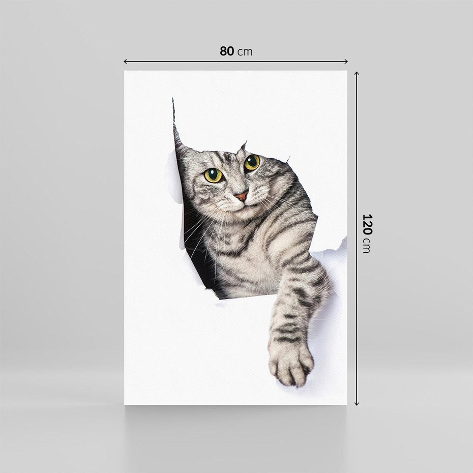 Obraz na płótnie 80x120 - Tajemniczy kot i jego świat - kot, dziura