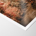 Plakat bez ramy 30x40 - Obraz przedstawia jesienne drzewa i czerwone liście na ścieżce w lesie. Ta sceneria doskonale oddaje urok i kolorystykę jesieni w lesie. - las, jesień