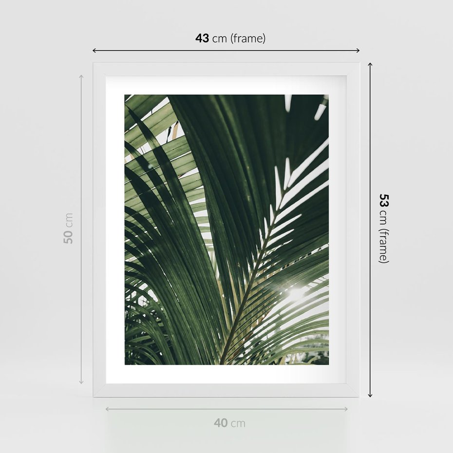 Plakat w ramie 40x50 - Tropikalne Uroki: Palmy i Zielone Liście - palmy, zielone liście - rama biała
