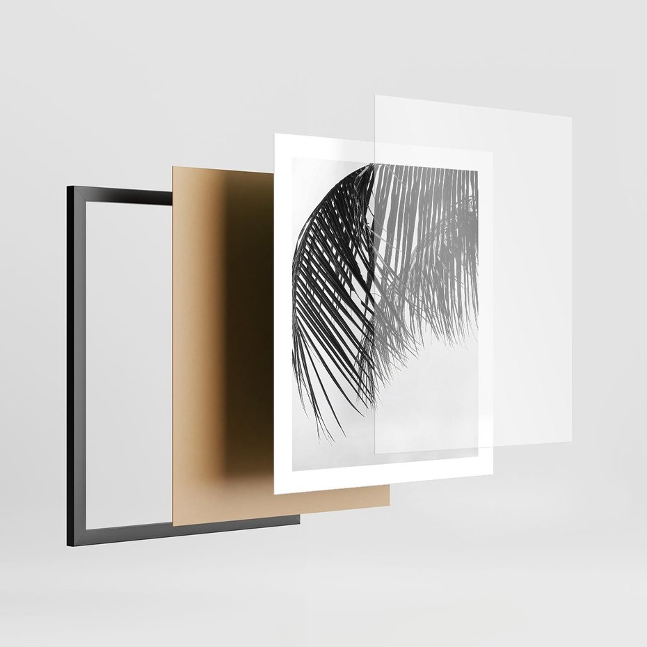 Plakat w ramie 40x50 - Czarno-Biały Kontrast - czarno białe zdjecie, palma - rama czarna