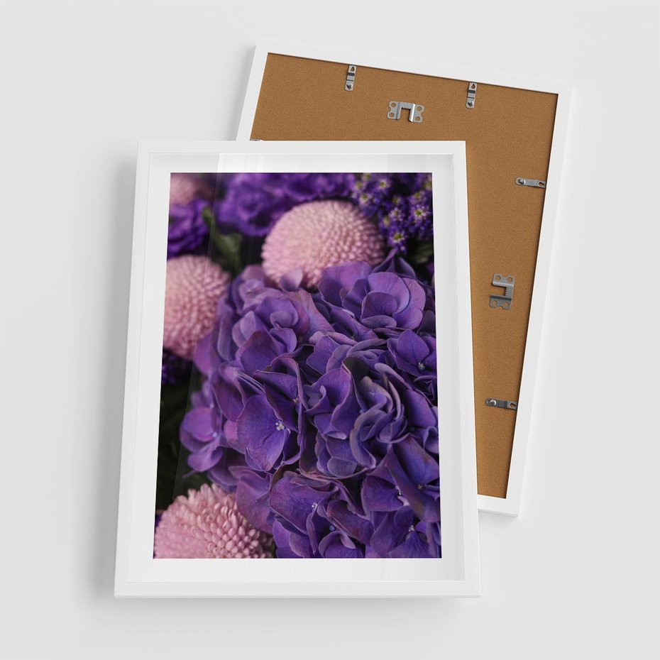 Plakat w ramie 50x70 - Fioletowa hortensja - kwiaty, hortensja - rama biała