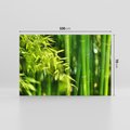 Obraz na płótnie 100x70 - Spokój bambusowego lasu SPA - bambus, drzewa