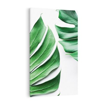 Obraz na płótnie 50x70 - Monstera - Liście Kwiaty - monstera, liście