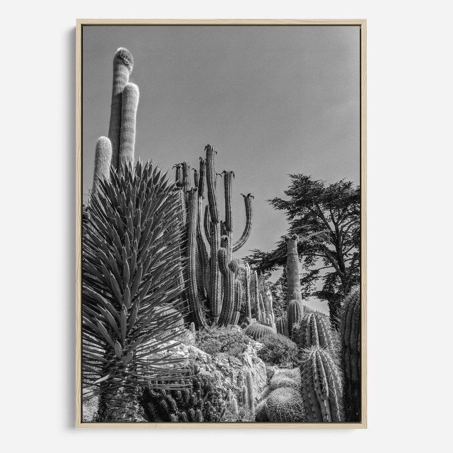 Obraz w ramie 50x70 - Pustynny Klimat - czarno białe zdjecie, pustynia - rama drewno