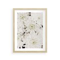 Plakat w ramie 30x40 - Białe Kwiaty: Płatki Delikatności - białe kwiaty, zbliżenie - rama drewno