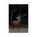 Plakat bez ramy 50x70 - Spotkanie z naturą - jeleń, las