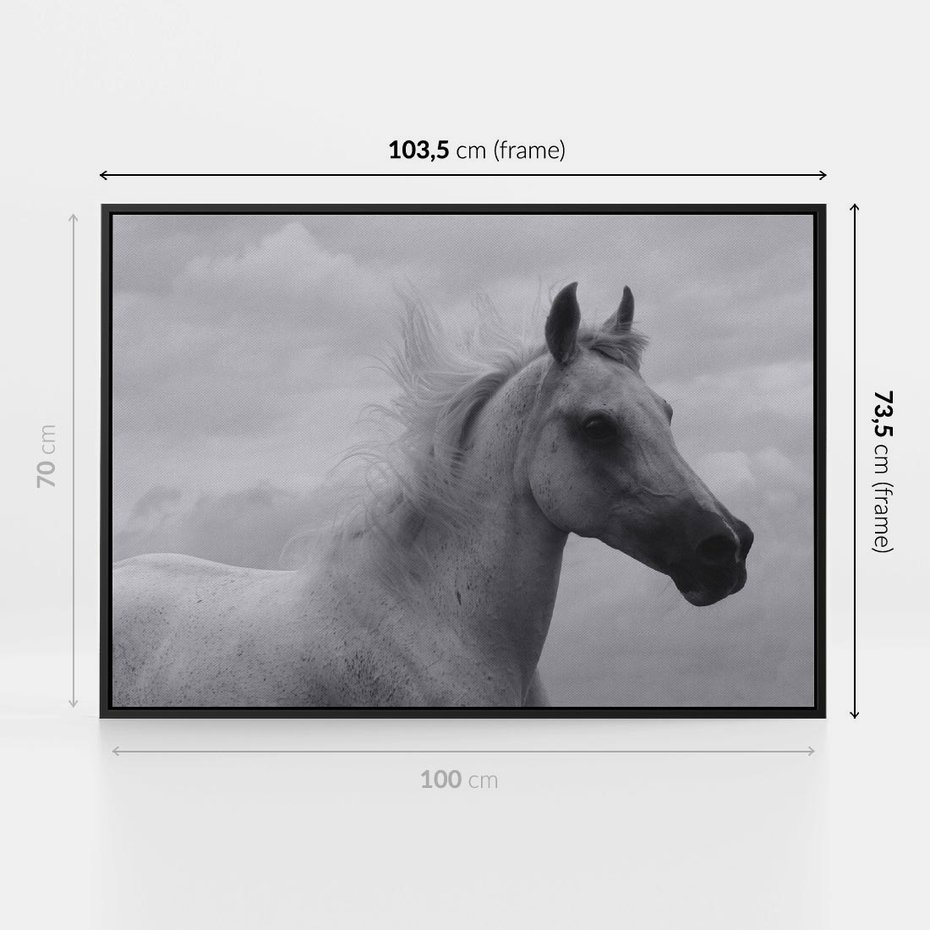 Obraz w ramie 100x70 - Moc i Wolność - czarno biała fotografia, biały - rama czarna