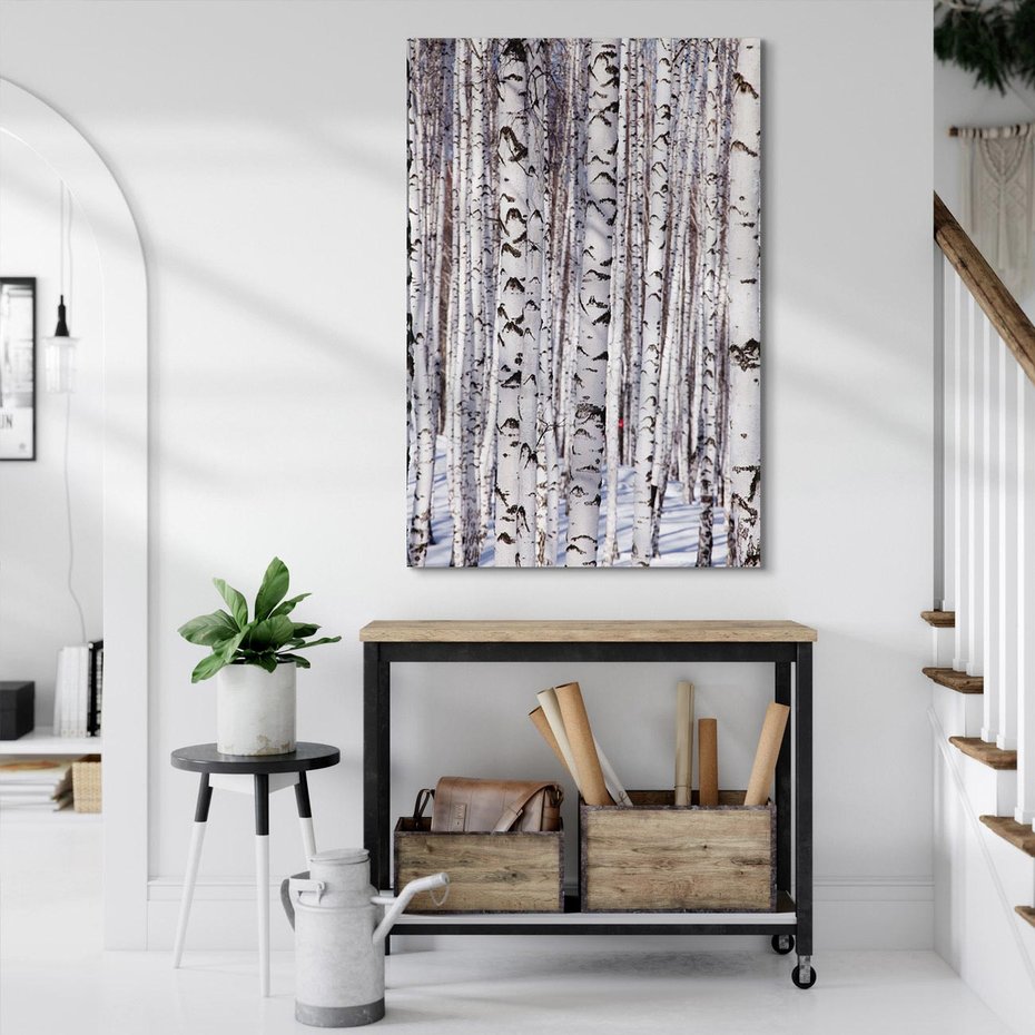 Obraz na płótnie 70x100 - Lśniące Brzozy - brzozy, las