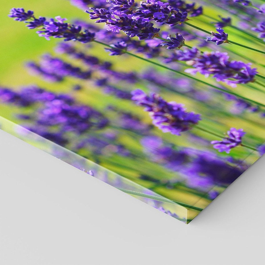 Obraz na płótnie 80x80 - Lawenda w naturze - lawenda, kwiaty