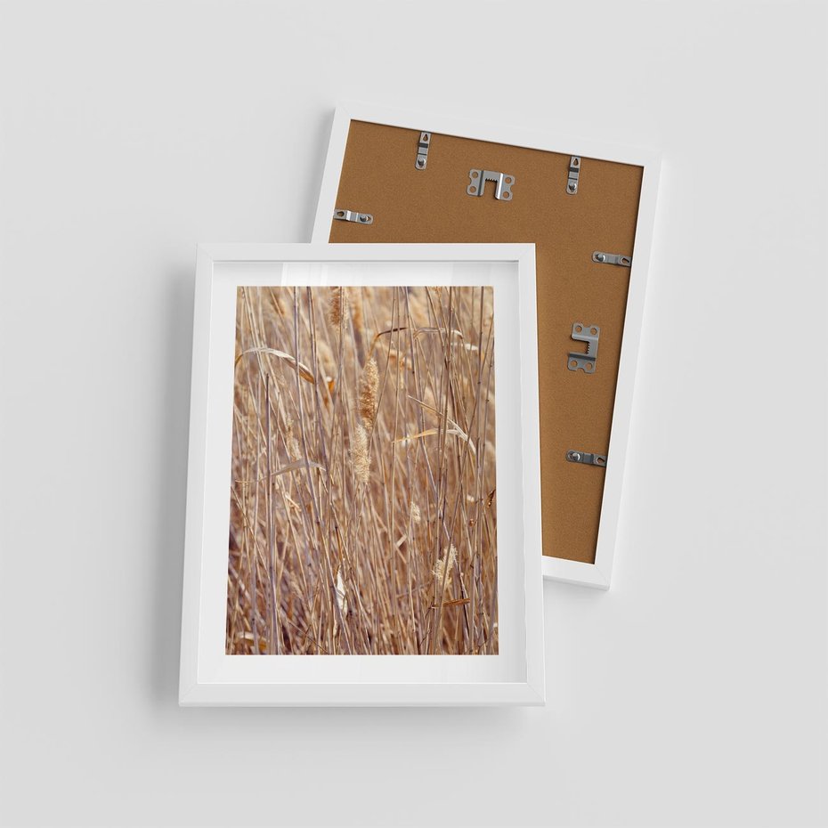 Plakat w ramie 30x40 - Mistrzowskie suche trawy - suche, trawy - rama biała