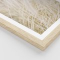 Plakat w ramie 40x50 - Białe Trawy Pampas - suche trawy, białe trawy - rama drewno