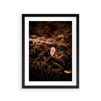 Plakat w ramie 50x70 - Gałęzie i Liść w Brązowej Tonacji - suche gałęzie, liść - rama czarna