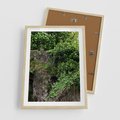 Plakat w ramie 50x70 - Żywiołowa Zieleń - mur, liście - rama drewno
