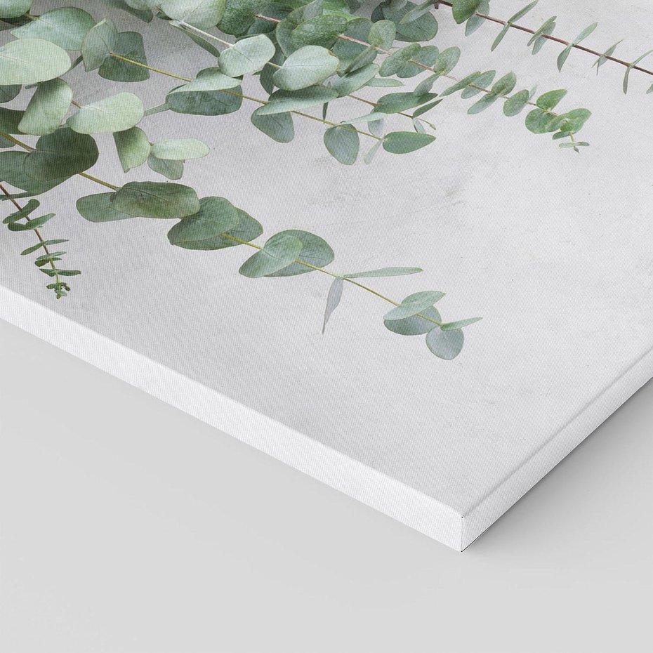 Obraz na płótnie 80x120 - Uwodzicielska zieleń eukaliptusa - eukaliptus, zielone