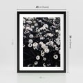 Plakat w ramie 40x50 - Białe Kwiaty na Kwitnącym Krzewie - białe kwiaty, kwitnący krzew - rama czarna