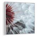 Obraz w ramie 50x50 - Makro świat dmuchawca - dmuchawiec, makro - rama biała