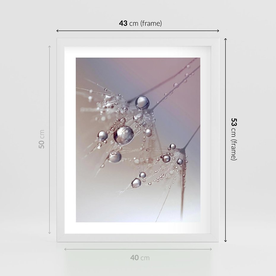 Plakat w ramie 40x50 - Delikatne Natchnienie - krople, dmuchawce - rama biała