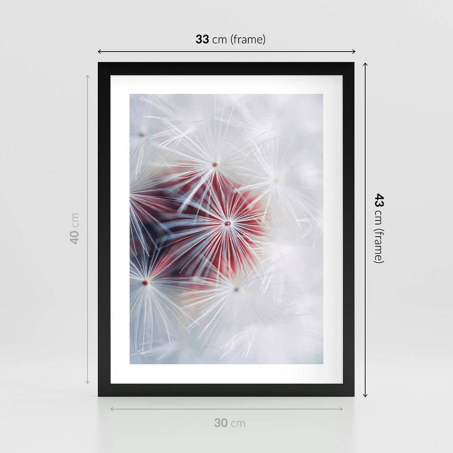 Plakat w ramie 30x40 - Minimalistyczna Delikatność - zbliżenie, dmuchawce - rama czarna