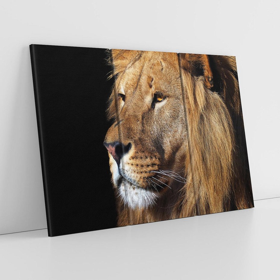 Obraz na płótnie 120x80 - Władca Dzikiej Przyrody - lew, król