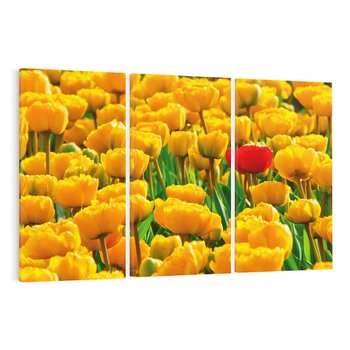 Obraz na płótnie 120x80 - kwiatowa elegancja - tulipany, kwiat