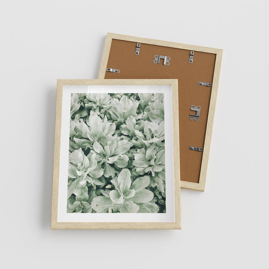 Plakat w ramie 40x50 - Liście w Jasnych Odcieniach Zielonego - liście, jasna zieleń fotografia - rama drewno