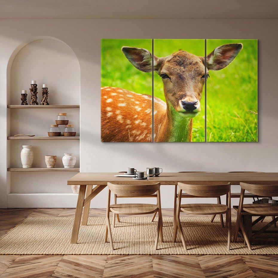 Obraz na płótnie 120x80 - Sarna na łące - sarna, zwierzę