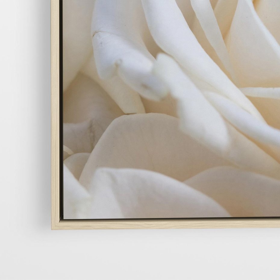 Obraz w ramie 50x50 - Białe róże piękności - białe, róże - rama drewno