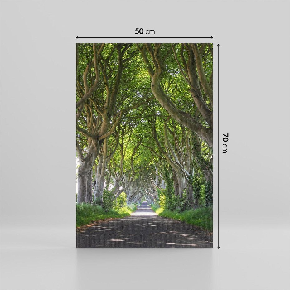 Obraz na płótnie 50x70 - Magiczny Las - drzewa, las