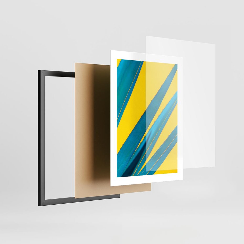 Plakat w ramie 30x40 - Świeżość Natury - aloes, liście - rama czarna