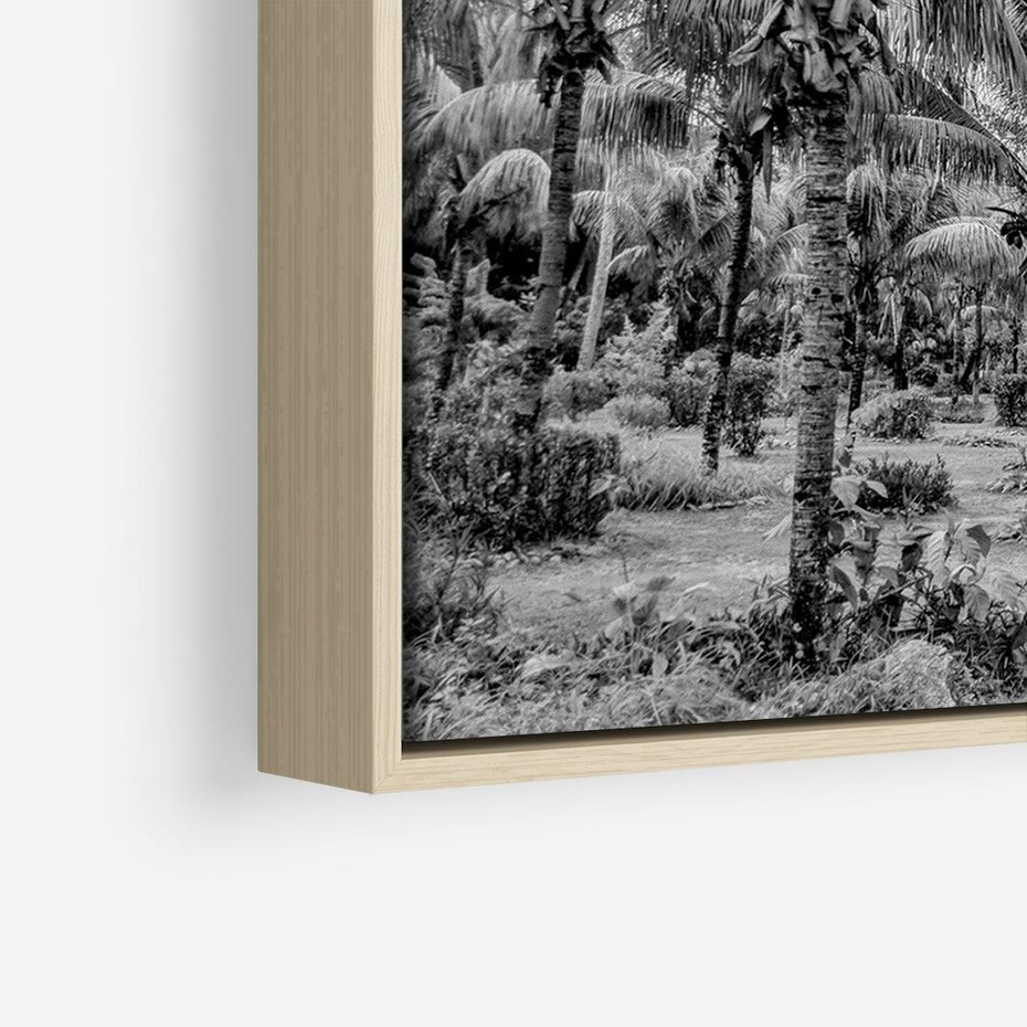 Obraz w ramie 70x50 - Mroczna Ścieżka Tropików - czarno biała fotografia, ścieżka pośród palm - rama drewno
