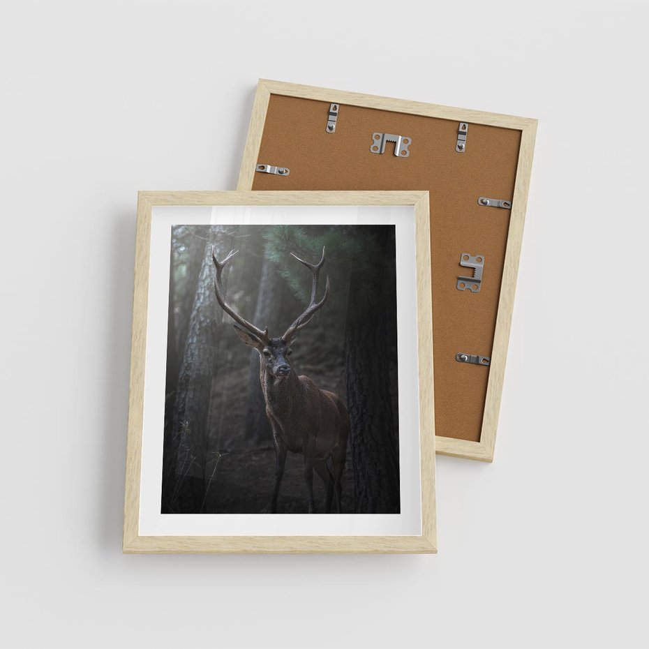 Plakat w ramie 40x50 - Jeleń wśród lasu - jeleń, las - rama drewno