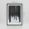 Plakat w ramie 50x70 - Zimowe Drzewa: Śnieg na Pniach - drzew w zimi, pnie drzew - rama czarna