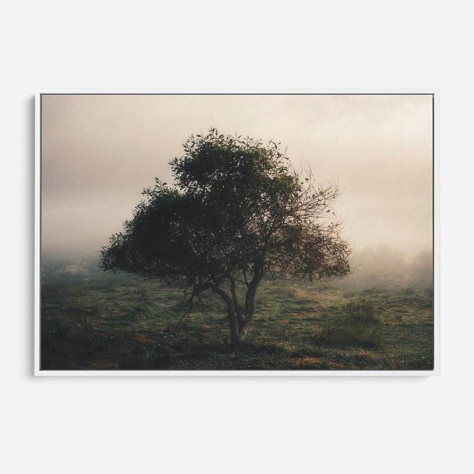 Obraz w ramie 120x80 - Zamglona Prostota - artystyczna fotografia, samotne drzewo na zamglonej łące - rama biała