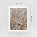 Plakat w ramie 40x50 - Beżowa Trawa - suche trawy, zbliżenie - rama biała