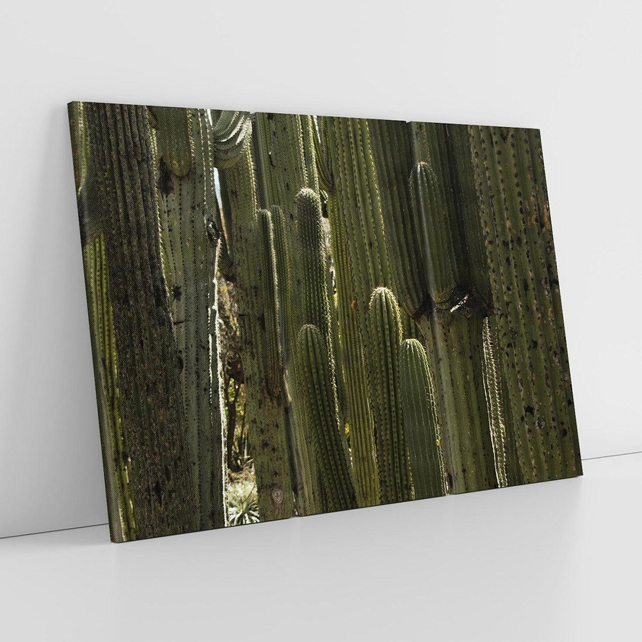 Obraz na płótnie 120x80 - Wyjątkowy Klimat Boho - kaktusy, pustynia
