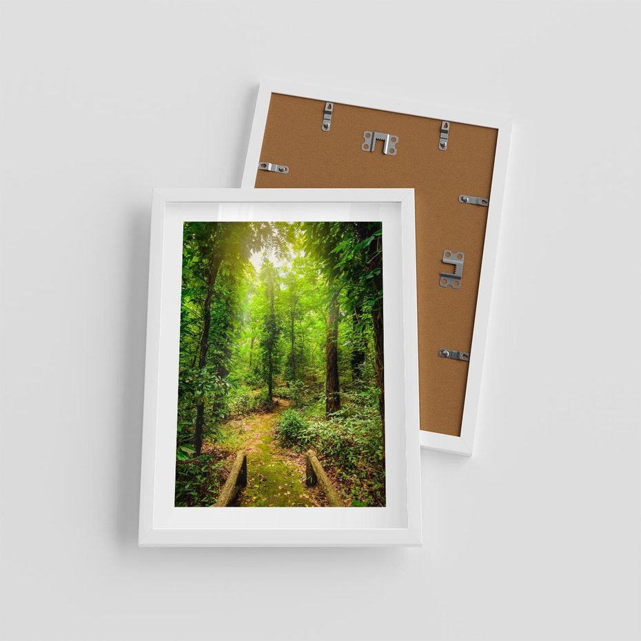 Plakat w ramie 30x40 - Współistnienie z naturą - drzewa, las - rama biała