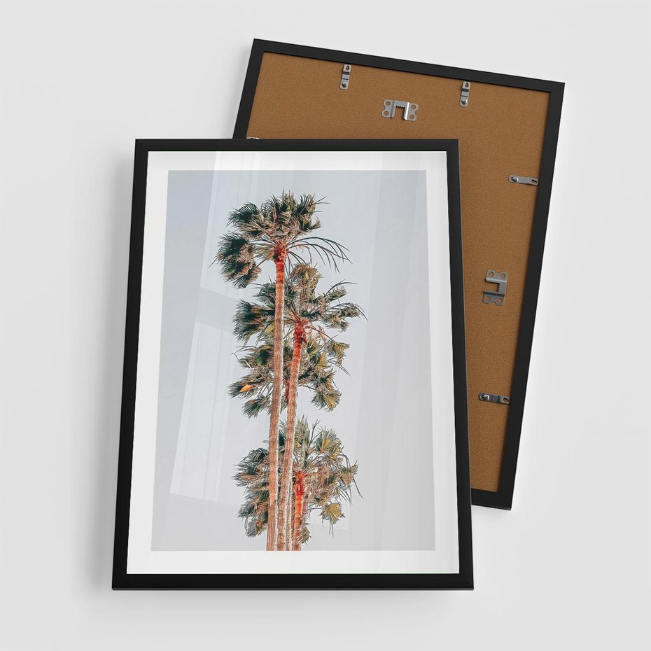 Plakat w ramie 50x70 - Kształty Palm - palmy, zdjęcie - rama czarna