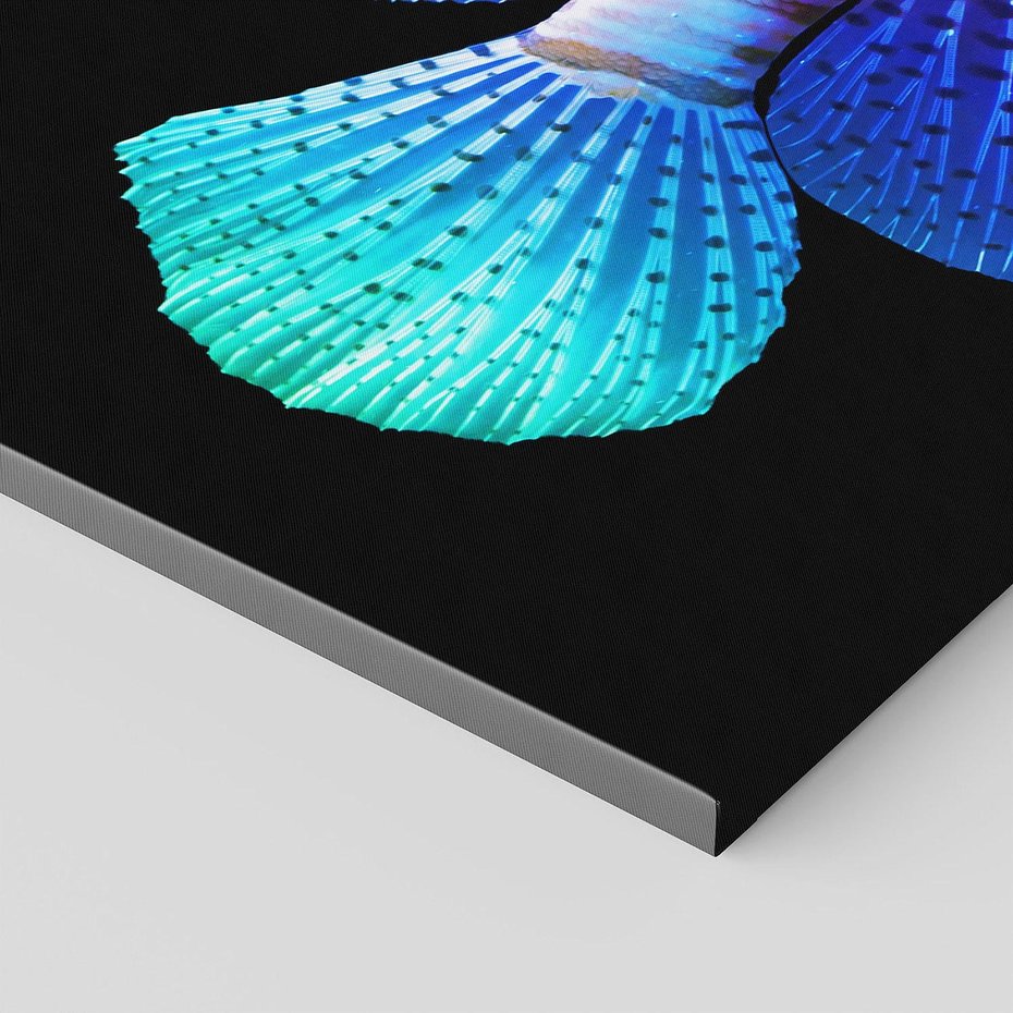 Obraz na płótnie 140x70 - Tęczowa Piękność - kolorowa tęczowa ryba, mocny akcent na czarnym tle