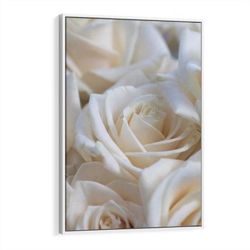 Obraz w ramie 80x120 - Białe róże piękności - białe, róże - rama biała