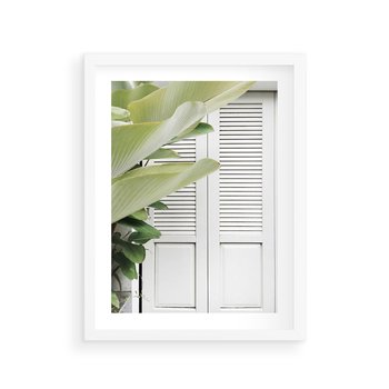 Plakat w ramie 30x40 - Tropikalne Okno - białe okiennice, zielona tropikalna roślina - rama biała
