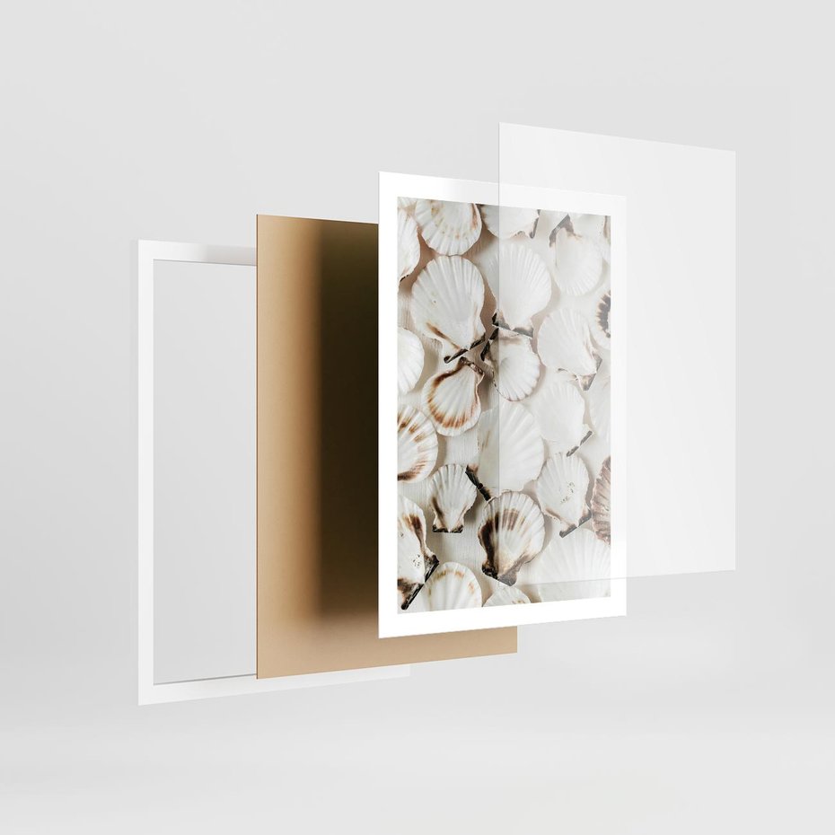 Plakat w ramie 50x70 - Białe Muszle - białe muszle, ujęcie z góry - rama biała