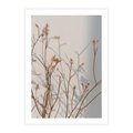Plakat bez ramy 30x40 - Boho gałązki suche - gałązki, suche
