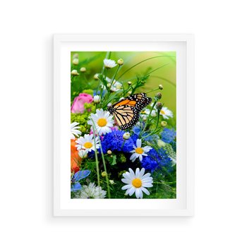 Plakat w ramie 50x70 - Kwiatowy Taniec - motyl, kwiaty - rama biała