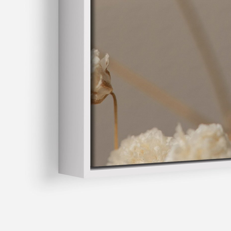 Obraz w ramie 70x100 - Subtelna gipsówka - gipsówka, suche - rama biała