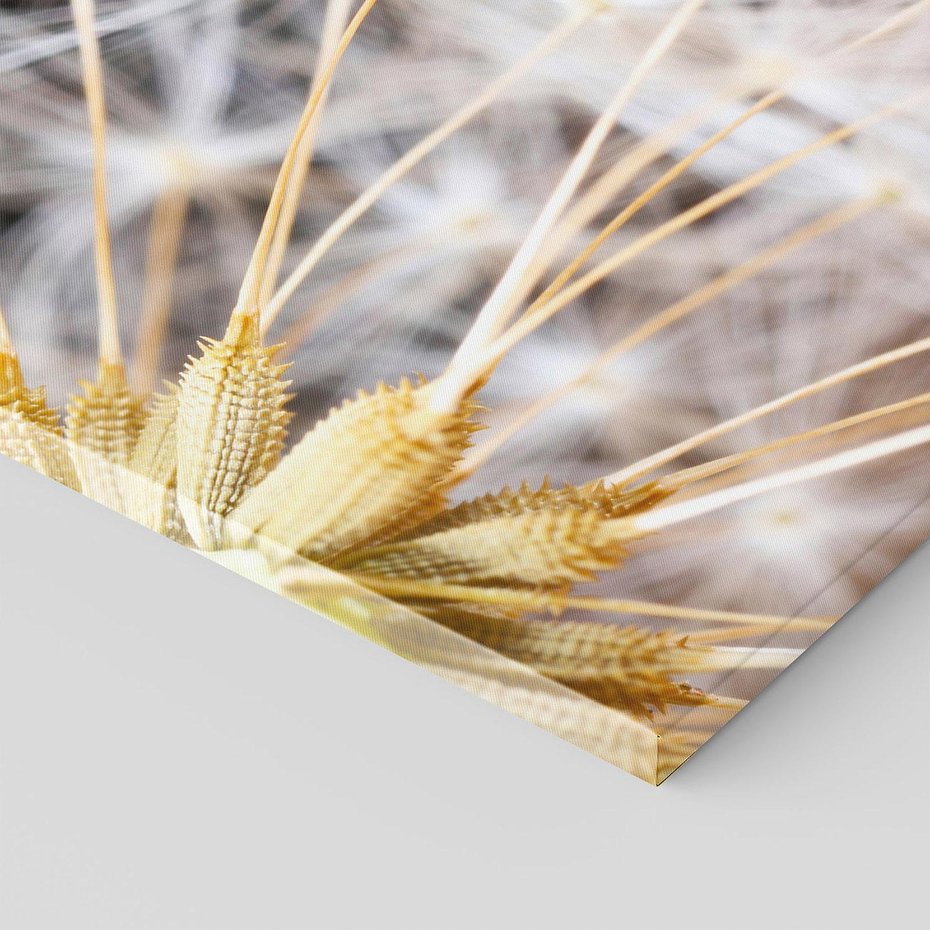 Obraz na płótnie 80x80 - Dmuchawiec: lekkość natury - dmuchawiec, natura