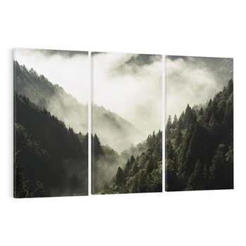 Obraz na płótnie 120x80 - Mgliste góry w lesie - góry, las