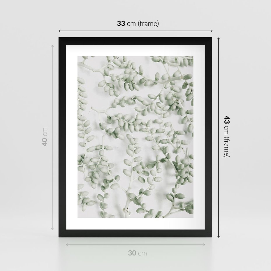 Plakat w ramie 30x40 - Delikatność Zieleni - zielone gałązki, listki - rama czarna
