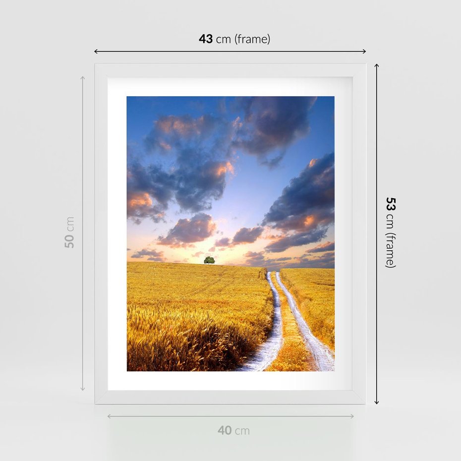 Plakat w ramie 40x50 - Magiczna droga w lesie - droga, ścieżka - rama biała