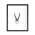 Plakat w ramie 40x50 - Minimalistyczne Poroże Jelenia - poroże jelenia na ścianie, minimalizm - rama czarna