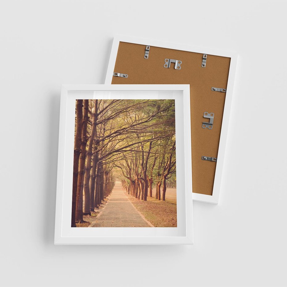 Plakat w ramie 40x50 - Wędrówka między drzewami - droga, drzewa - rama biała